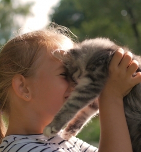 Avebe Pet Food Avebe Pet Food